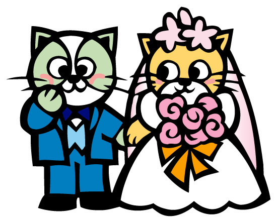 結婚相談所、結婚情報サービスの正しい選び方と賢い見極め方